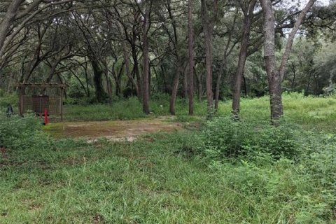 Land in Dunnellon, Florida № 2273126 - photo 2