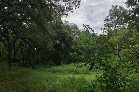 Land in Dunnellon, Florida № 2273126 - photo 6