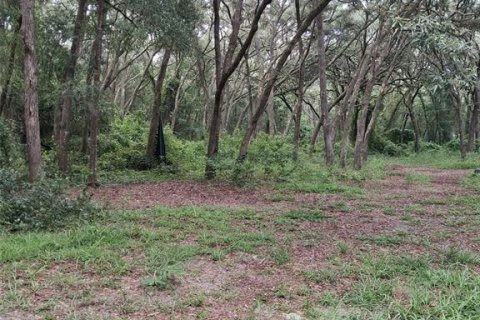 Land in Dunnellon, Florida № 2273126 - photo 3