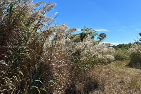 Terreno en venta en Miami-Dade, Florida № 1860065 - foto 2