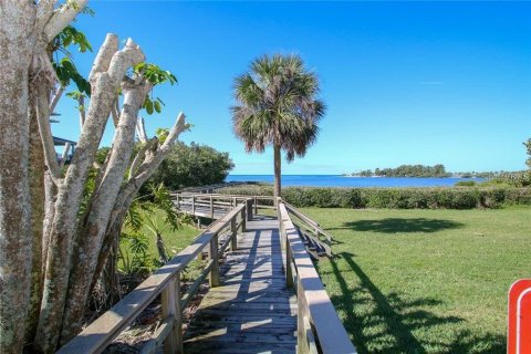 Condo in Tarpon Springs, Florida, 2 bedrooms  № 1831173 - photo 23