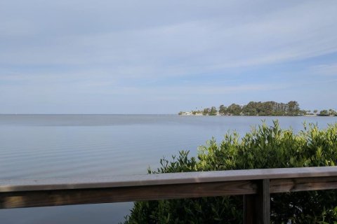 Condo in Tarpon Springs, Florida, 2 bedrooms  № 1831173 - photo 25