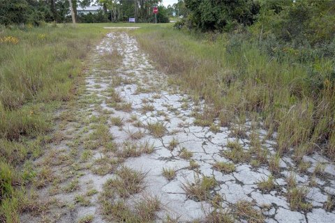 Land in Lake Placid, Florida № 2165351 - photo 3