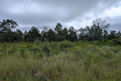 Land in Lake Placid, Florida № 2165351