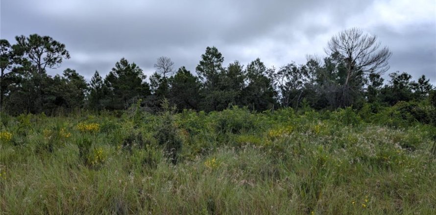 Land in Lake Placid, Florida № 2165351