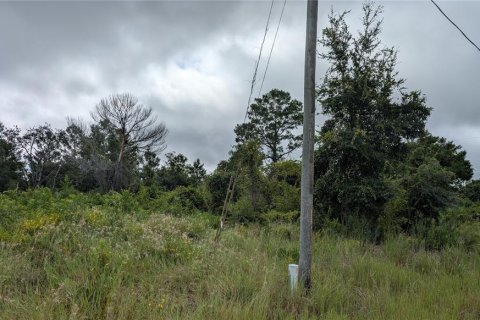 Land in Lake Placid, Florida № 2165351 - photo 2