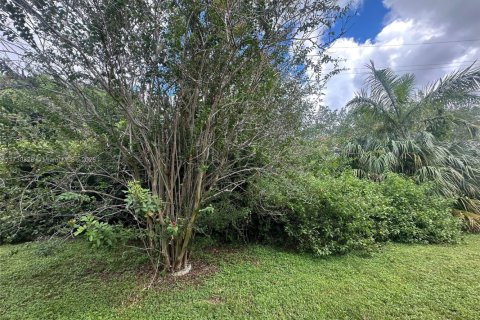 Villa ou maison à vendre à Sunrise, Floride: 1 chambre, 61.97 m2 № 1985277 - photo 7