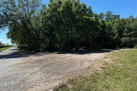 Land in Saint Cloud, Florida № 1691994 - photo 4