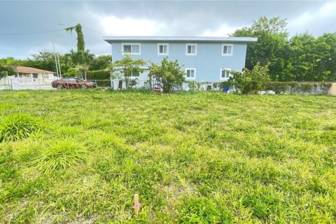 Land in Miami, Florida № 1766345 - photo 3