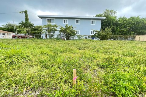 Land in Miami, Florida № 1766345 - photo 6