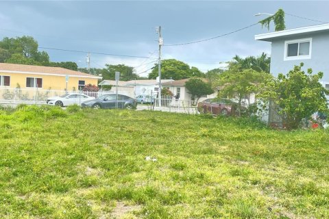 Land in Miami, Florida № 1766345 - photo 2