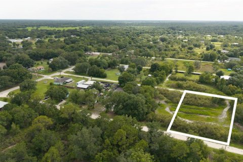 Terreno en Okeechobee, Florida № 2221230