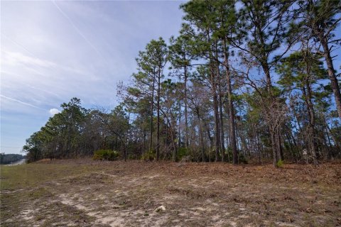 Land in Citrus Springs, Florida № 2159355 - photo 4