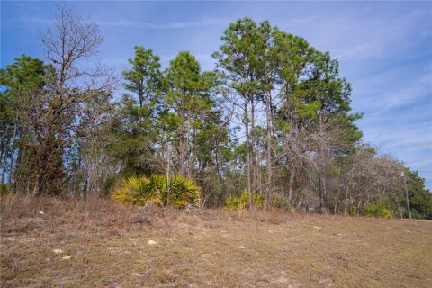 Land in Citrus Springs, Florida № 2159355 - photo 3