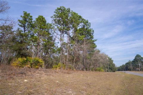 Land in Citrus Springs, Florida № 2159355 - photo 2