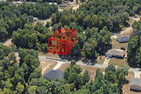 Land in Citrus Springs, Florida № 2159355