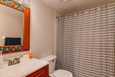 Copropriété à louer à Gainesville, Floride: 1 chambre, 53.33 m2 № 2092354 - photo 11