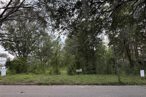 Terrain à vendre à Gainesville, Floride № 2431602 - photo 4