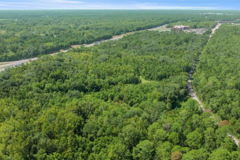 Купить виллу или дом в Гейнсвилл, Флорида 5 комнат, 102.56м2, № 2098072 - фото 4
