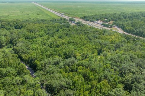 Купить виллу или дом в Гейнсвилл, Флорида 5 комнат, 102.56м2, № 2098072 - фото 11