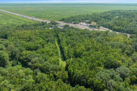 Купить виллу или дом в Гейнсвилл, Флорида 5 комнат, 102.56м2, № 2098072 - фото 7