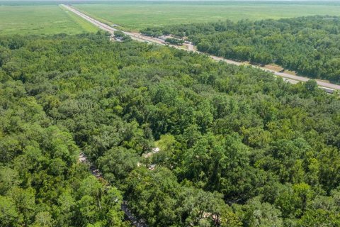 Купить виллу или дом в Гейнсвилл, Флорида 5 комнат, 102.56м2, № 2098072 - фото 9