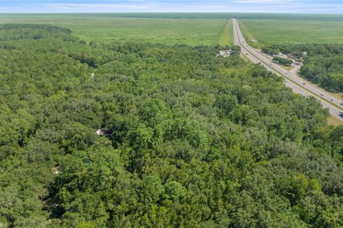 Купить виллу или дом в Гейнсвилл, Флорида 5 комнат, 102.56м2, № 2098072 - фото 10