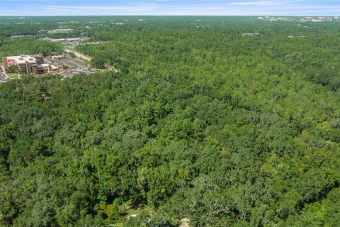 Купить виллу или дом в Гейнсвилл, Флорида 5 комнат, 102.56м2, № 2098072 - фото 13