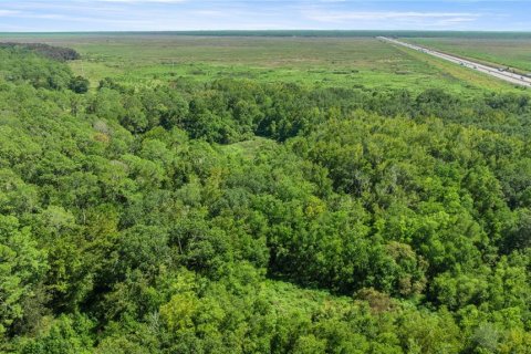 Купить виллу или дом в Гейнсвилл, Флорида 5 комнат, 102.56м2, № 2098072 - фото 14