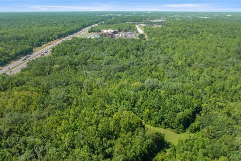 Купить виллу или дом в Гейнсвилл, Флорида 5 комнат, 102.56м2, № 2098072 - фото 5