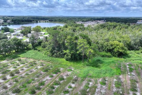 Terrain à vendre à Dundee, Floride № 2215170 - photo 6