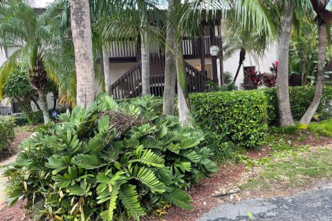 Copropriété à louer à Boca Raton, Floride: 2 chambres, 137.03 m2 № 2147147 - photo 13