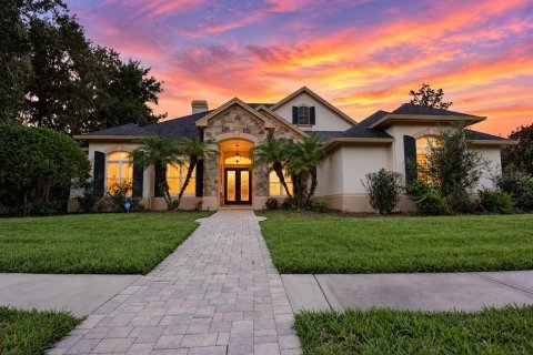 Villa ou maison à Brandon, Floride 5 chambres, 346.06 m2 № 2413581