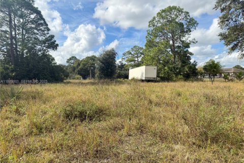 Terrain à vendre à Clewiston, Floride № 1987333 - photo 3