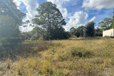 Terrain à vendre à Clewiston, Floride № 1987333 - photo 4