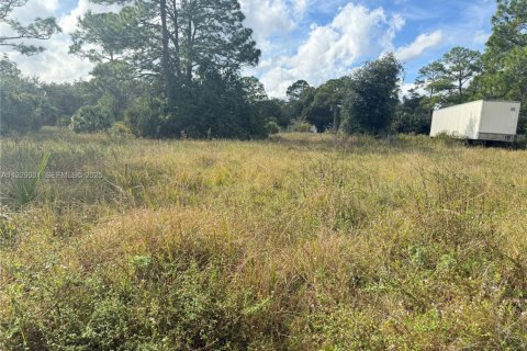 Terrain à vendre à Clewiston, Floride № 1987333 - photo 1