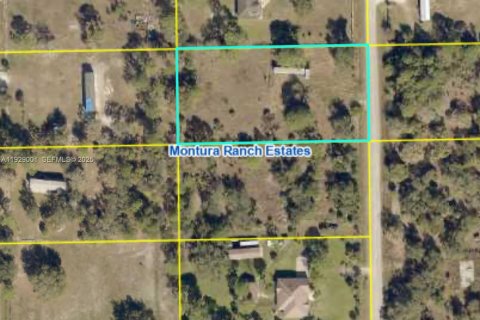 Terrain à vendre à Clewiston, Floride № 1987333 - photo 2