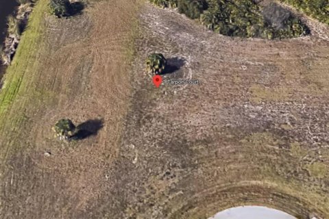 Land in Placida, Florida № 2163582 - photo 11