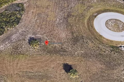 Land in Placida, Florida № 2163582 - photo 10
