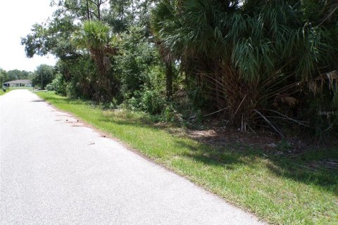 Land in North Port, Florida № 2215307 - photo 6