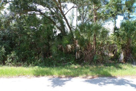 Land in North Port, Florida № 2215307 - photo 2