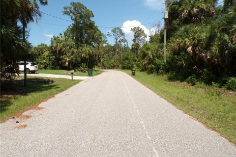 Land in North Port, Florida № 2215307 - photo 9