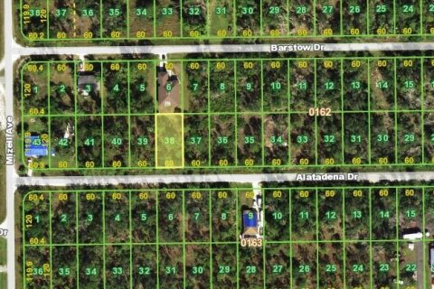 Terrain à Punta Gorda, Floride № 2160060