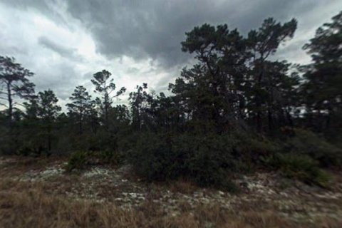 Land in Sebring, Florida № 2165202