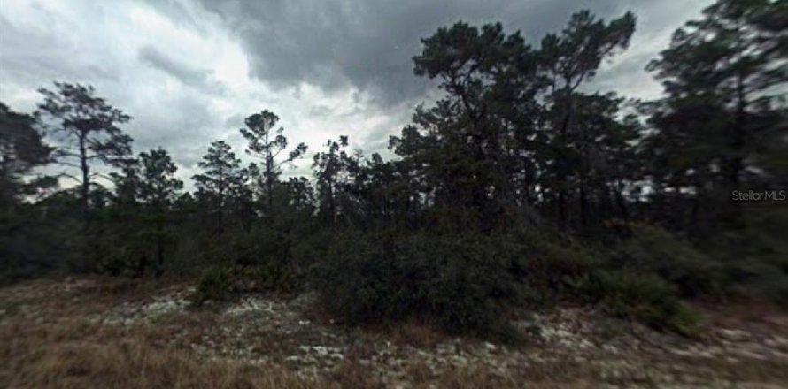 Land in Sebring, Florida № 2165202
