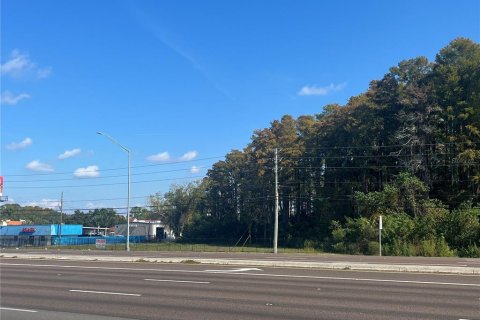 Propiedad comercial en alquiler en Palm Harbor, Florida № 2104761 - foto 2
