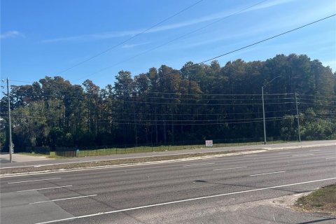 Propiedad comercial en Palm Harbor, Florida № 2104761