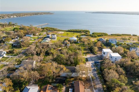 Land in Oldsmar, Florida № 1803462 - photo 2