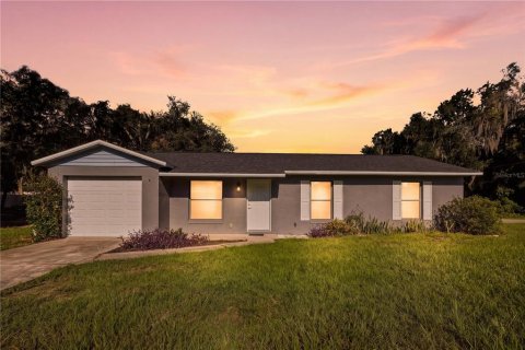 Casa en Ocklawaha, Florida 3 dormitorios, 92.9 m2 № 2380574