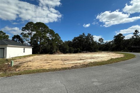 Terrain à vendre à Kissimmee, Floride № 2161581 - photo 5